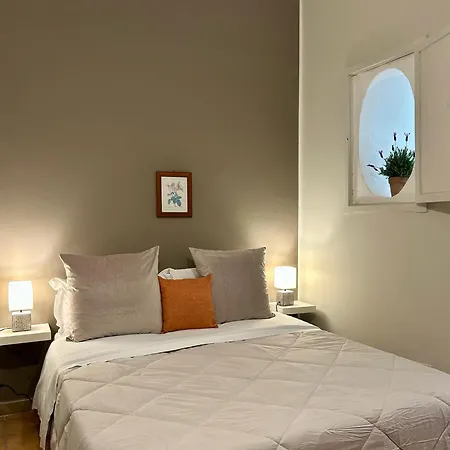 Nuovo Piccolo Gellia *